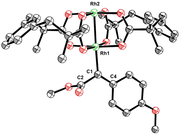 Novel Concepts for Catalysis