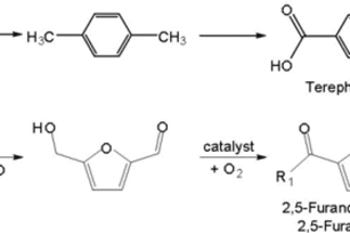 Reaktions- und Katalysatorsysteme zur Gewinnung zuckerbasierter Monomere zur Herstellung von Biopolymeren