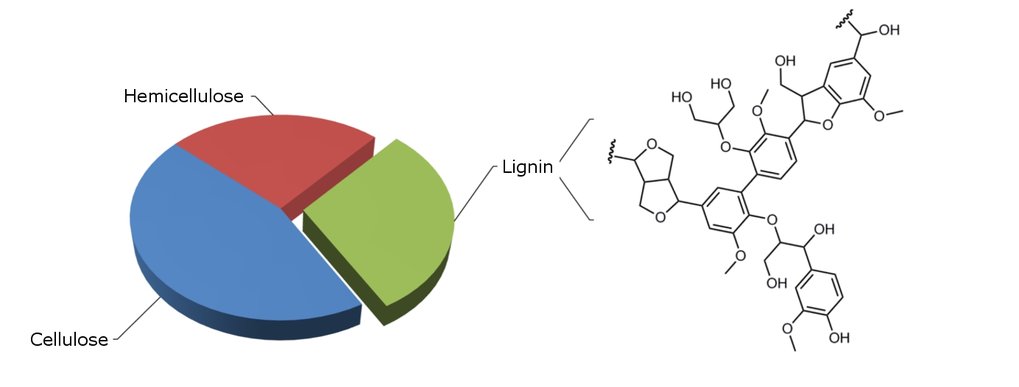 Lignin