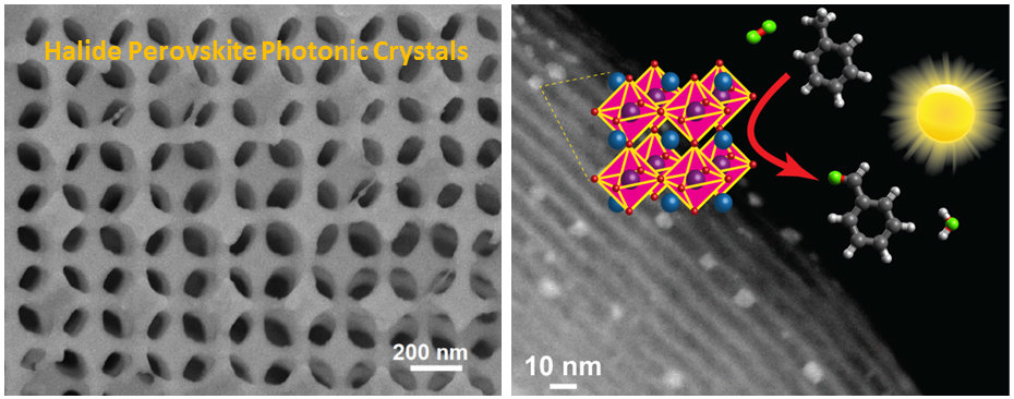 Halide Perovskites as New Class of Catalyst