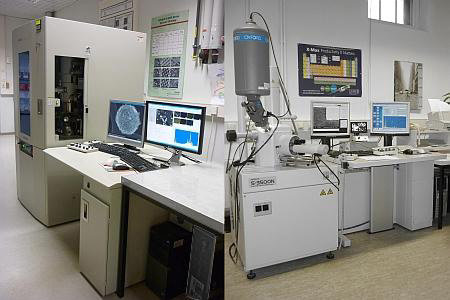 Scanning Electron Microscopy (SEM)