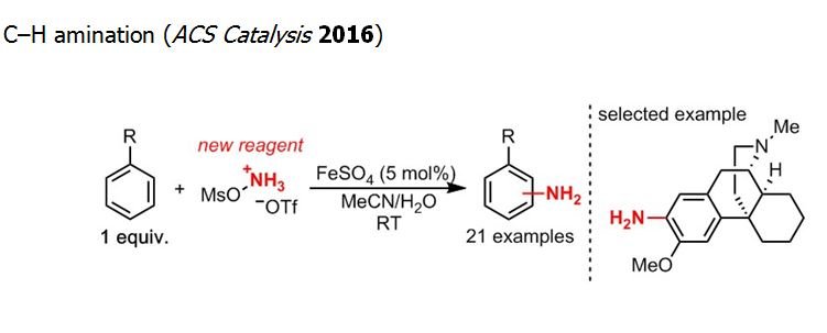 Direct Catalytic Synthesis of Unprotected Amines