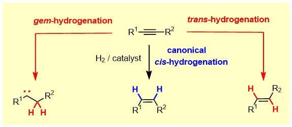 <em>trans</em><span>-Hydrierung, </span><em>gem</em><span>-Hydrierung und </span><em>trans</em><span>-Hydrometallierung</span>